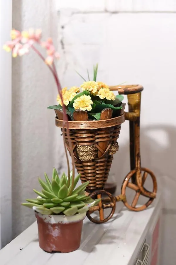 Apartment Karla Zara
